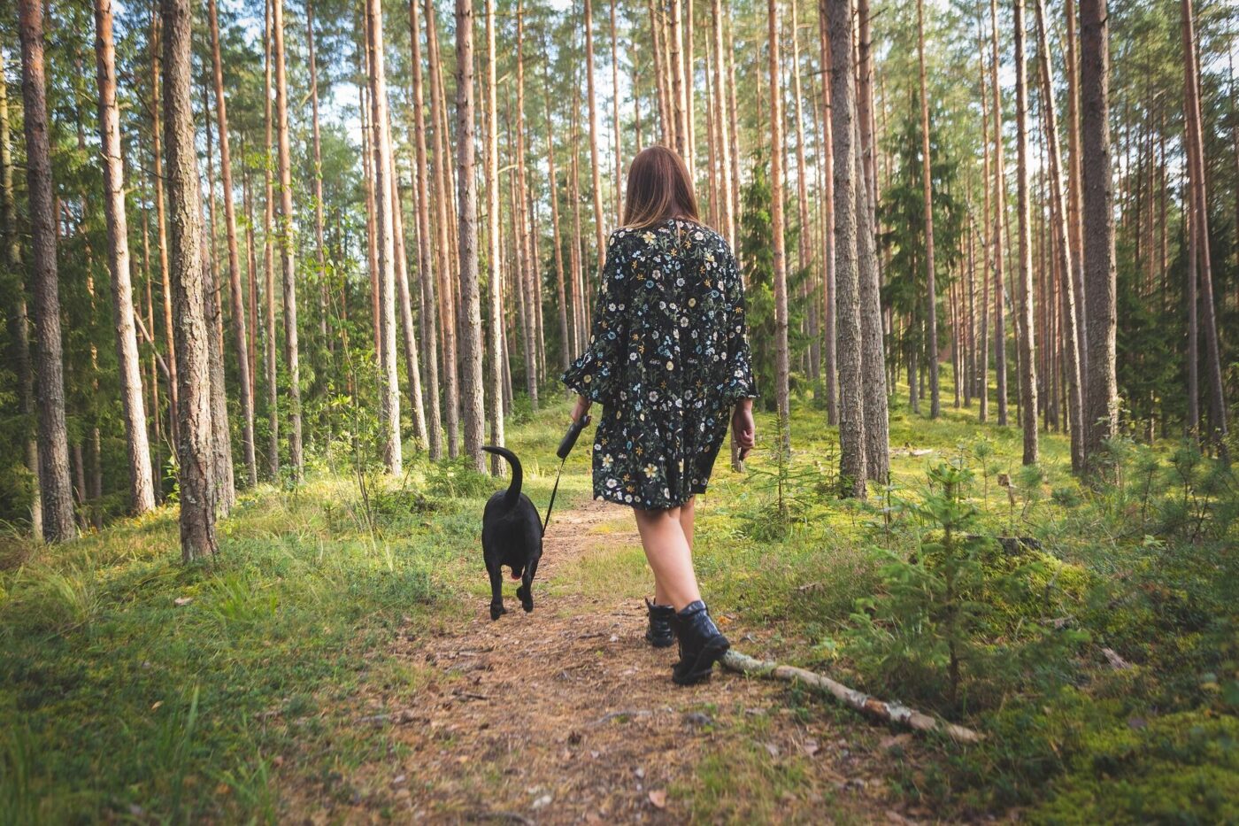 Water cremation is a nature-positive way of honouring your cherished pet's lifelong gift of unconditional love and acceptance